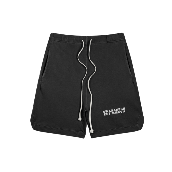 Swaganese Est MMXVII T Shirt and Hw Faded Short Set - Image 4
