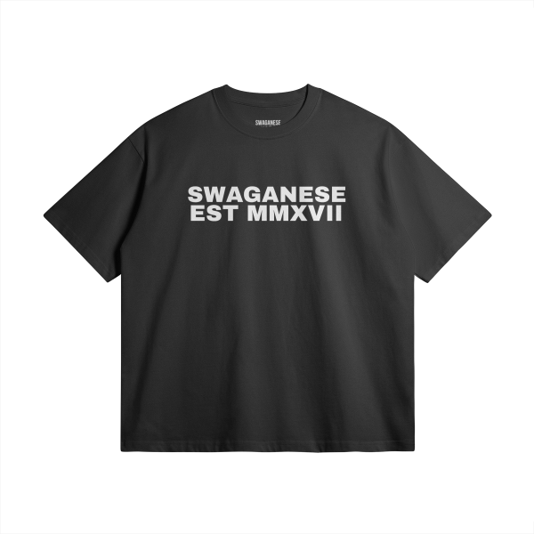 Swaganese Est MMXVII T Shirt and Hw Faded Short Set - Image 3