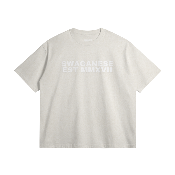 Swaganese Est MMXVII T Shirt and Hw Faded Short Set - Image 5