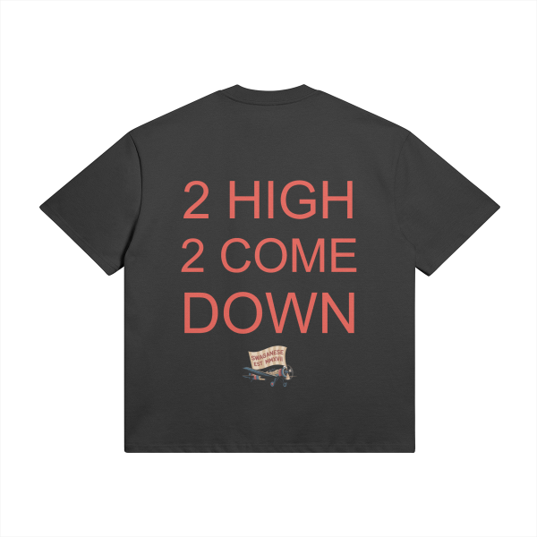 Swaganese Travels Pilot Boxy T Shirt - Image 4